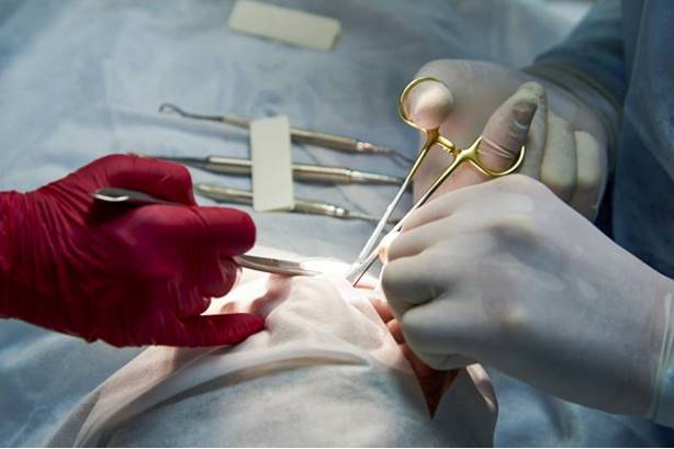 Hospital regional faz cirurgia rara em criança e corrige malformação da língua Hospital regional faz cirurgia rara em criança e corrige malformação da língua