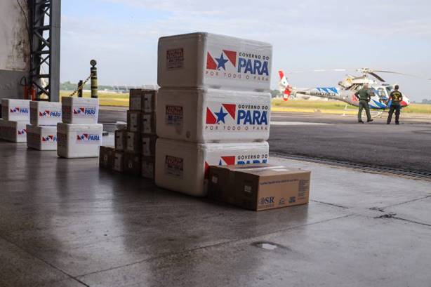 Transporte aéreo de vacinas contra Covid-19 garante entrega em menos de 24h para o interior Transporte aéreo de vacinas contra Covid-19 garante entrega em menos de 24h para o interior