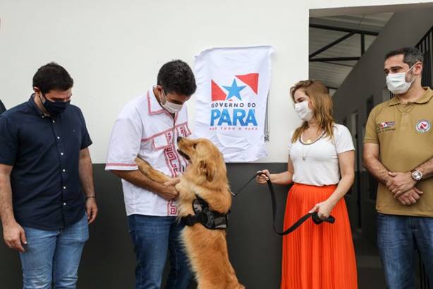 Estado sanciona lei que proíbe a soltura de fogos de artifício com estampido Estado sanciona lei que proíbe a soltura de fogos de artifício com estampido