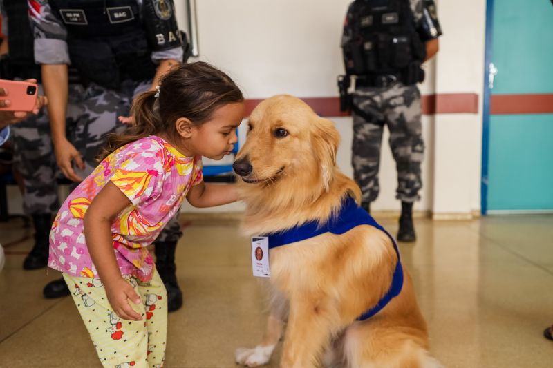 Pet Terapia: Ação faz a alegria de crianças internadas no Hospital Metropolitano Pet Terapia: Ação faz a alegria de crianças internadas no Hospital Metropolitano