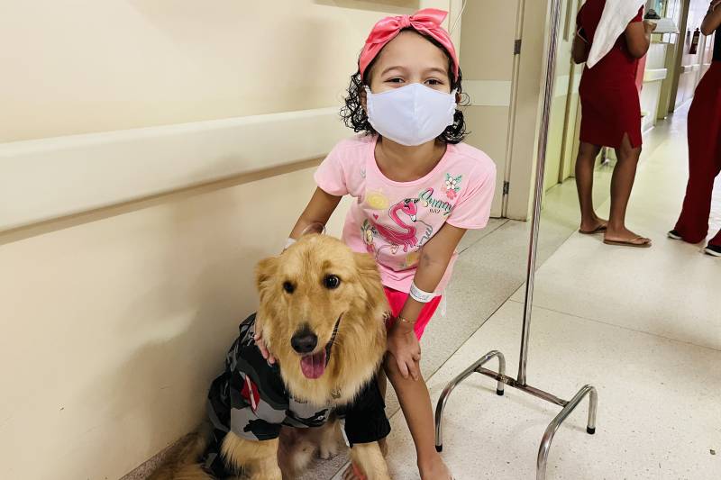 Dr. Alecrim, o cão terapeuta, leva alegria e bem-estar a pacientes do Oncológico Infantil Dr. Alecrim, o cão terapeuta, leva alegria e bem-estar a pacientes do Oncológico Infantil
