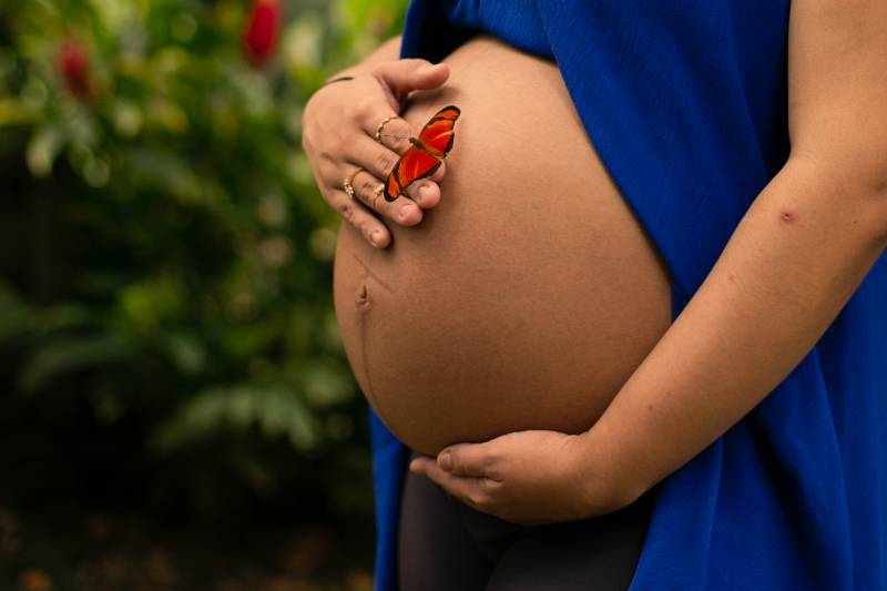 Governo do Pará orienta sobre prevenção à gravidez na adolescência e apoia gestantes Governo do Pará orienta sobre prevenção à gravidez na adolescência e apoia gestantes