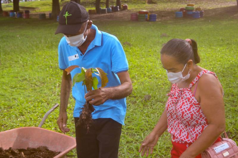 Paciente agradece assistência com plantio de mangueira no Regional do Baixo Amazonas Paciente agradece assistência com plantio de mangueira no Regional do Baixo Amazonas