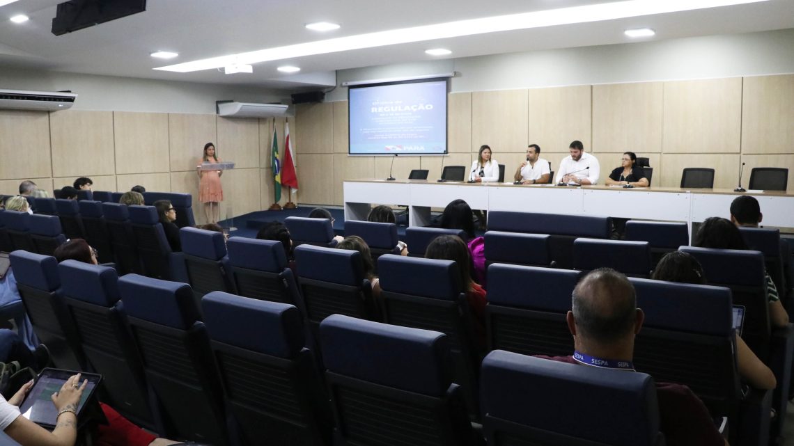 Oficina de regulação leva capacitação para profissionais do setor Oficina de regulação leva capacitação para profissionais do setor