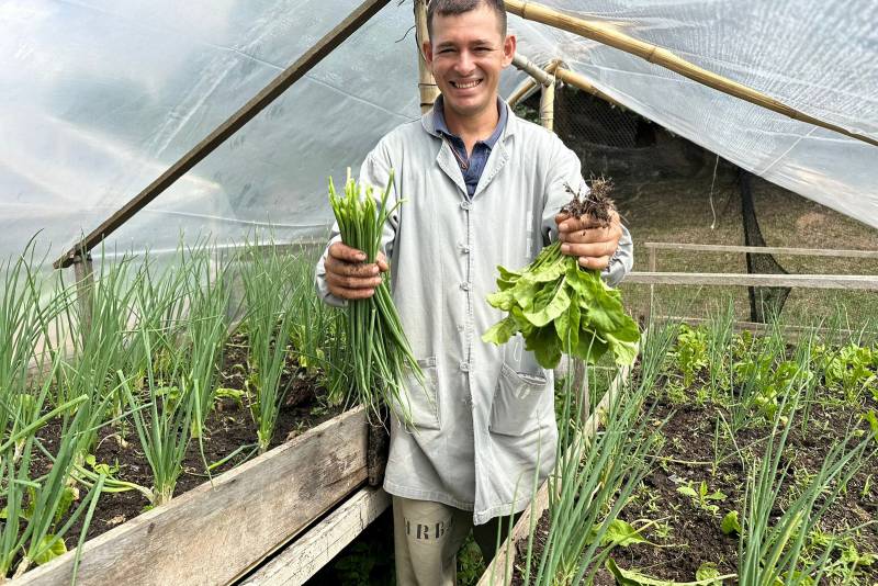 Regional de Santarém mantém nutrição sustentável com horta orgânica Regional de Santarém mantém nutrição sustentável com horta orgânica