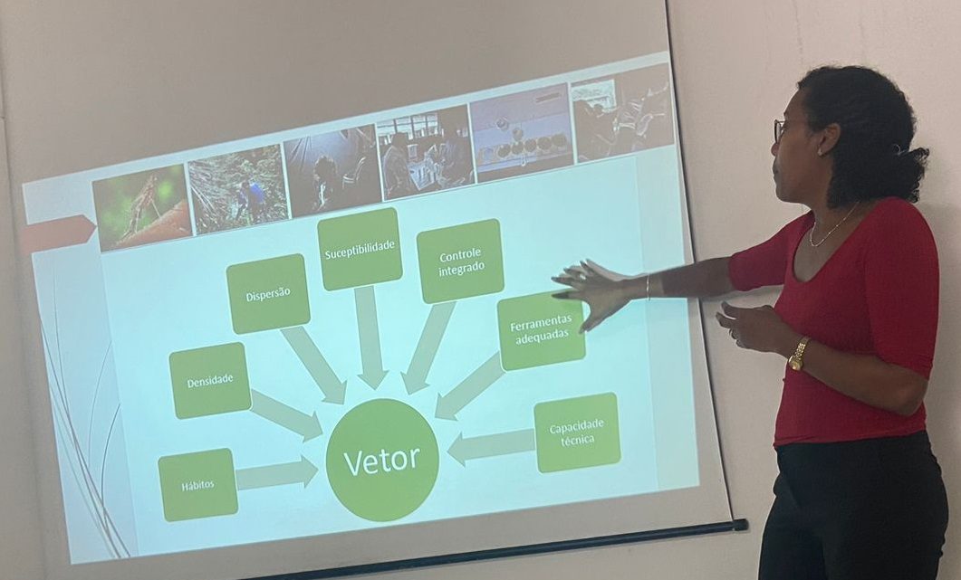 Sespa treina profissionais de saúde em captura e identificação de vetores da malária Sespa treina profissionais de saúde em captura e identificação de vetores da malária