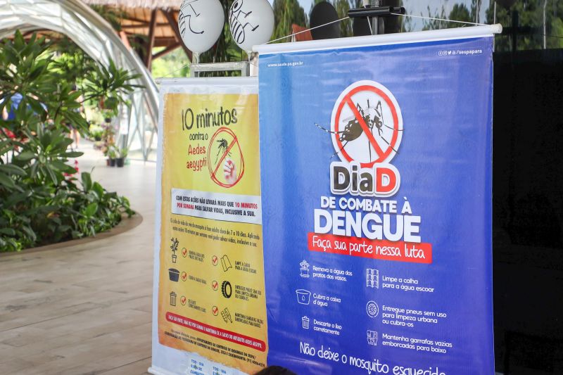 Pará registra queda de 36,49% nos casos de dengue Pará registra queda de 36,49% nos casos de dengue