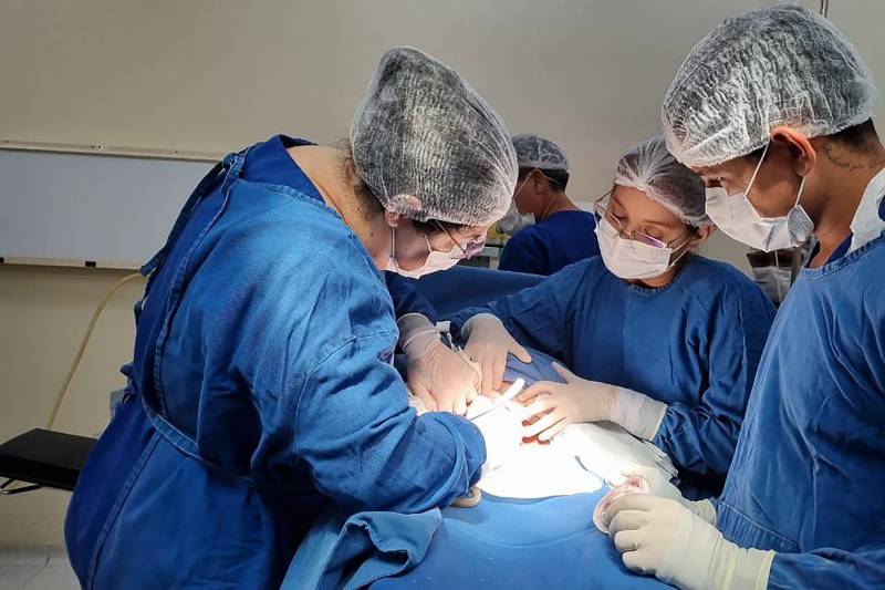 Hospital Geral de Tailândia agiliza pré-operatório para pacientes com hérnias e pedra na vesícula Hospital Geral de Tailândia agiliza pré-operatório para pacientes com hérnias e pedra na vesícula