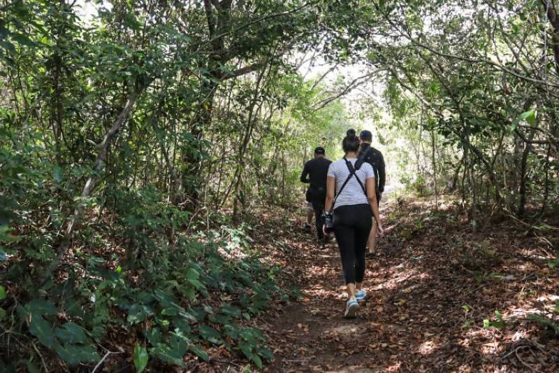 Sespa alerta sobre prevenção e cuidados nos acidentes com animais peçonhentos Sespa alerta sobre prevenção e cuidados nos acidentes com animais peçonhentos