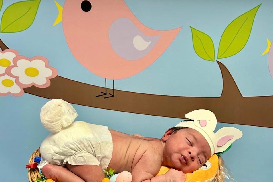 Hospital de Barcarena realiza ação especial de páscoa para bebês da UTI Neonatal e suas mães Hospital de Barcarena realiza ação especial de páscoa para bebês da UTI Neonatal e suas mães