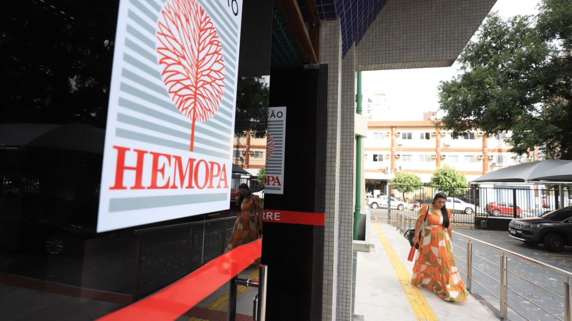 Dia do Médico: profissionais do Hemopa destacam cuidado humanizado e avanços na assistência hematológica