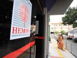 Dia do Médico: profissionais do Hemopa destacam cuidado humanizado e avanços na assistência hematológica